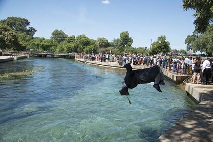 El parque Sewell está ubicado en una ciudad universitaria en Texas
