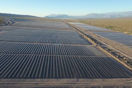 El parque solar Ullum está situado en San Juan y genera energía para abastecer a 48.000 hogares