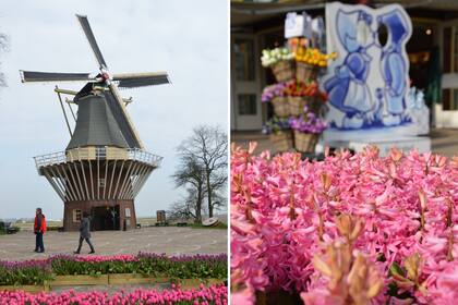 El parque tiene tiendas de souvenirs, puestos de comida y juegos para niños, entre otros atractivos.
