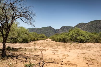 El parque Traslasierra se extiende sobre 44 mil hectáreas al oeste de Córdoba, casi pegado a La Rioja.
