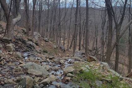 El parque ubicado en el condado de Rockland, cuenta con 151 hectáreas y senderos accesibles para caminar durante horas