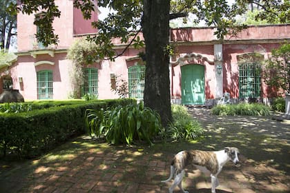 El particular frente rosado con aberturas en verde claro de La Porteña