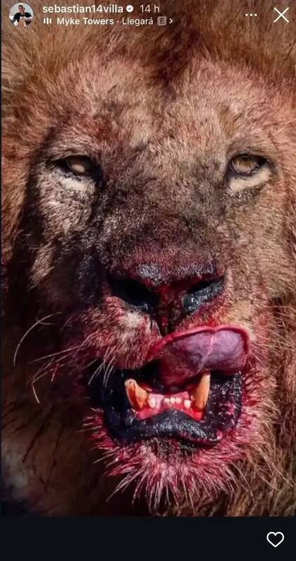 El particular posteo de Sebastián Villa en su cuenta de Instagram antes de Boca - Independiente Rivadavia de Mendoza que luego borró.