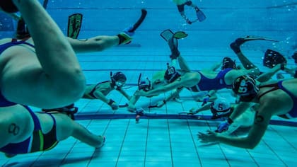 El partido en acción