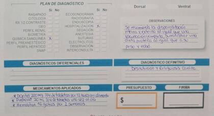 El pasado 8 de octubre, Laika fue revisada por un médico veterinario, quien señaló que la perrita debería ser desparasitada, vacunada y alimentada con una dieta proteica acorde a su peso y edad