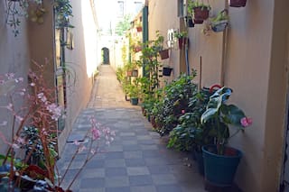 Pasado y presente de un símbolo cultural que se resiste a desaparecer