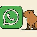 Para qué sirve el “modo Capibara” en WhatsApp