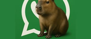 El paso a paso para activar el “modo Capibara”