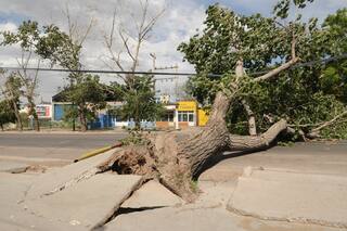 Zonda, el viento que aumenta las consultas en las guardias y las internaciones