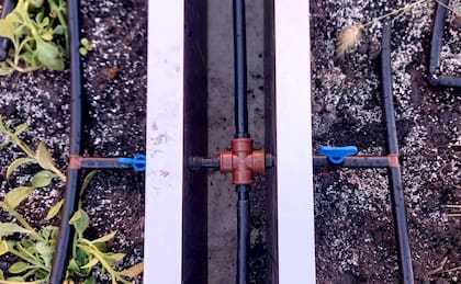 El paso inicial fue hacer un relevamiento de terrazas con condiciones estructurales aptas para la instalación de sistemas vegetados