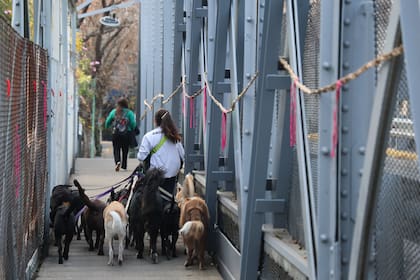 El paso peatonal del puente para atravesar las vías del tren Mitre