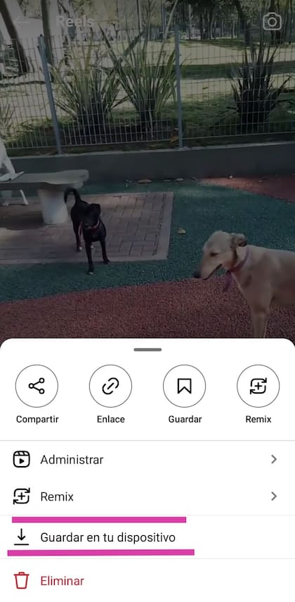 El paso siguiente es pulsar la opción "Guardar en tu dispositivo" y el video se almacenará en la Galería de imágenes del celular