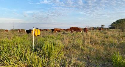 El Pastoreo Racional Voisin (PRV) se basa en una tecnología eficiente, moderna y económica de producción animal sobre la base del pasto