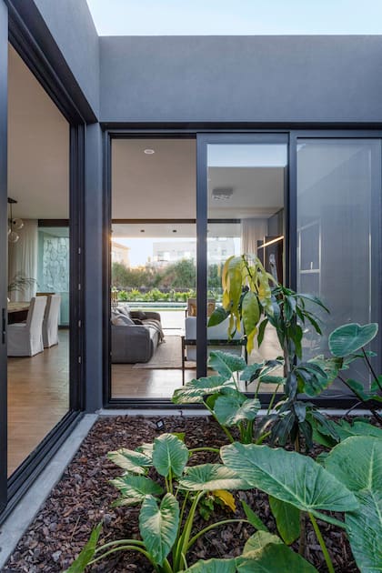 El patio interno tiene, ni más ni menos, la función de oasis. La vitalidad del verde se integra naturalmente en una estética que fusiona interior y exterior, además de brindar ventilación cruzada y luz solar.
