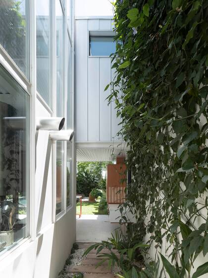 El patio lateral sirve de excusa para independizar circulaciones y así acceder al fondo de la casa sin la necesidad de cruzarla por dentro.