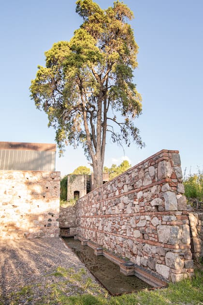 El patio trasero tan solo de granza es de carácter minimalista, con un estanque bajo un muro de calicanto inspirado en construcciones jesuíticas de la zona. Se usa para eventos en el verano.