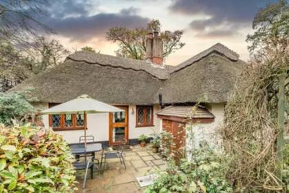 El patio trasero viene con muebles de jardín incluidos, para que el recién mudado pueda sentarse a tomar el te y observar a los felinos