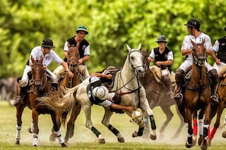 Nació en el siglo XVII, Rosas lo prohibió por “violento”, Perón lo decretó “deporte nacional” y hoy intenta resurgir