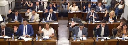 El pedido de declaración de Emergencia en Salud Mental obtuvo el apoyo de la mayoría de los senadores provinciales