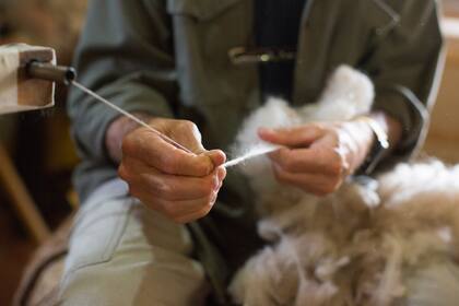 El pelo de llama ofrece un tejido térmico y liviano.