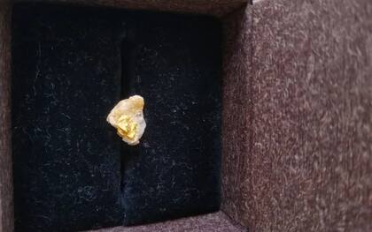 El pequeño encontró una pepita de oro. (G1)