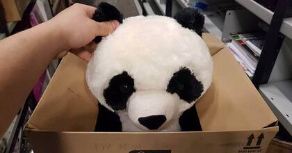 El pequeño Lean escribió en la caja de un peluche que le llamó la atención y logró su objetivo