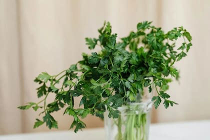 El perejil puede consumirse en diversas preparaciones (Foto Pexels)