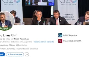 Quién es Pedro Lines, el nuevo director del Indec, que está buscando trabajo en LinkedIn