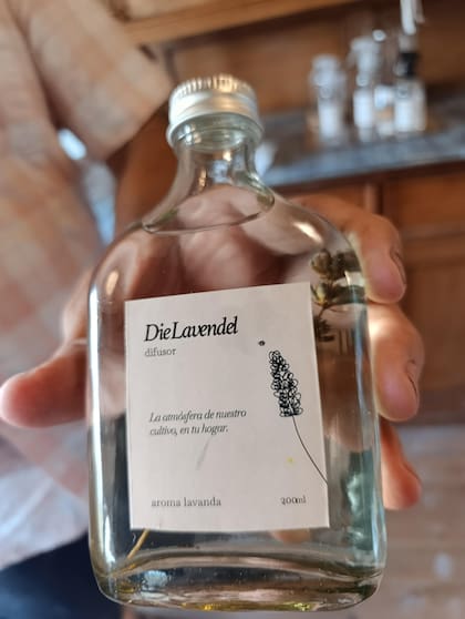 El perfume de la lavanda es relajante y muy buscado por su agradable aroma