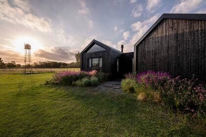 El perímetro de la casa está delimitado por canteros de especies silvestres y coloridas.