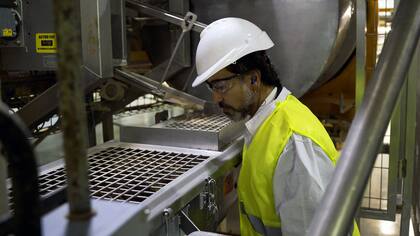 El periodista Gonzalito Rodríguez fue a la fábrica de Whiskas para ver de cerca cómo se produce el alimento para gatos.