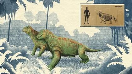 El Pérmico estuvo lleno de criaturas extrañas como el arrugado herbívoro Moschops, parecido visualmente a las ranas, pero del tamaño de un buey almizclero
