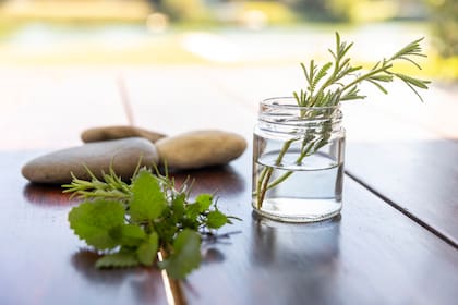 El peróxido de hidrógeno tiene un efecto desinfectante suave que elimina hongos o bacterias y ayuda a los esquejes a formar raíces