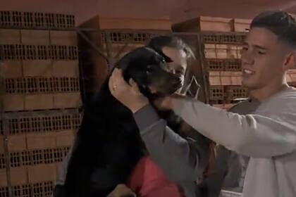 El perrito encontró una nueva familia