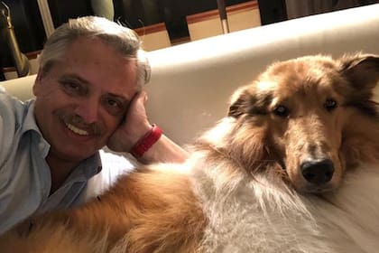 El perro del presidente que revolucionó las redes