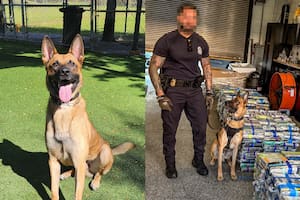 Golpe histórico de la CBP en Florida: un convoy interceptó un buque y halló US$28 millones en droga