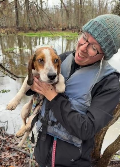 El perro estaba increíblemente delgado y con una gran herida en la pata trasera.