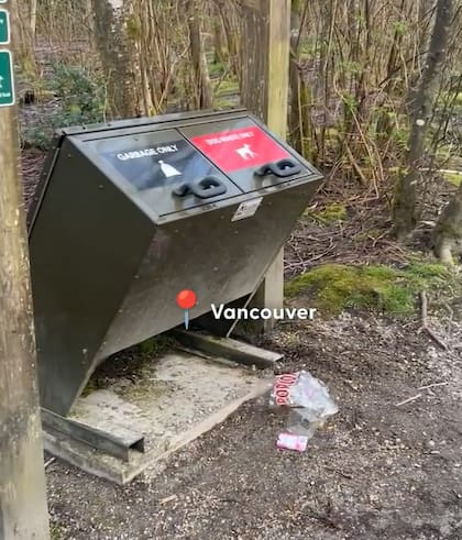 El perro fue abandonado a su suerte en un contenedor de basura (Captura: @oscarthepoodle2025)