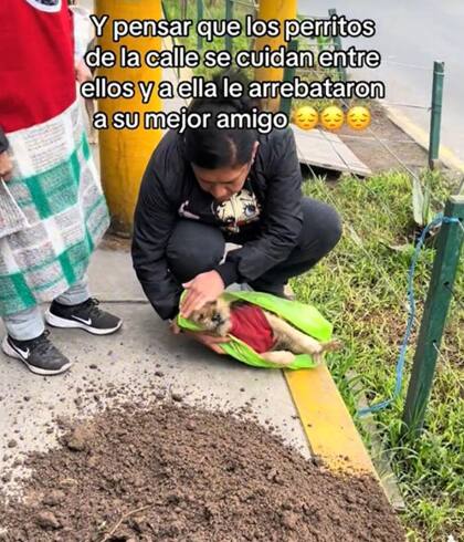 El perro fue enterrado gracias a la intervención de los vecinos (Captura: @meminacastillo)
