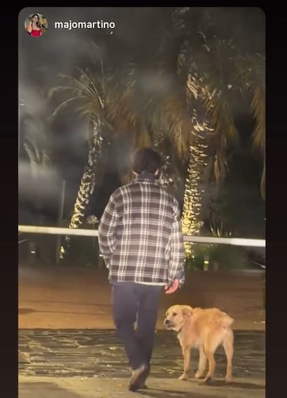 El perro pudo reencontrarse con su familia gracias a la intervención de Evangelina y Majo (Foto: @evangelinaanderson)