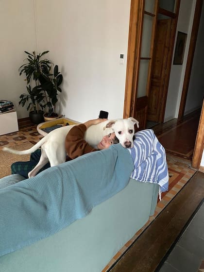 El perro que cuidó Camila Gatti en una casa de Barcelona