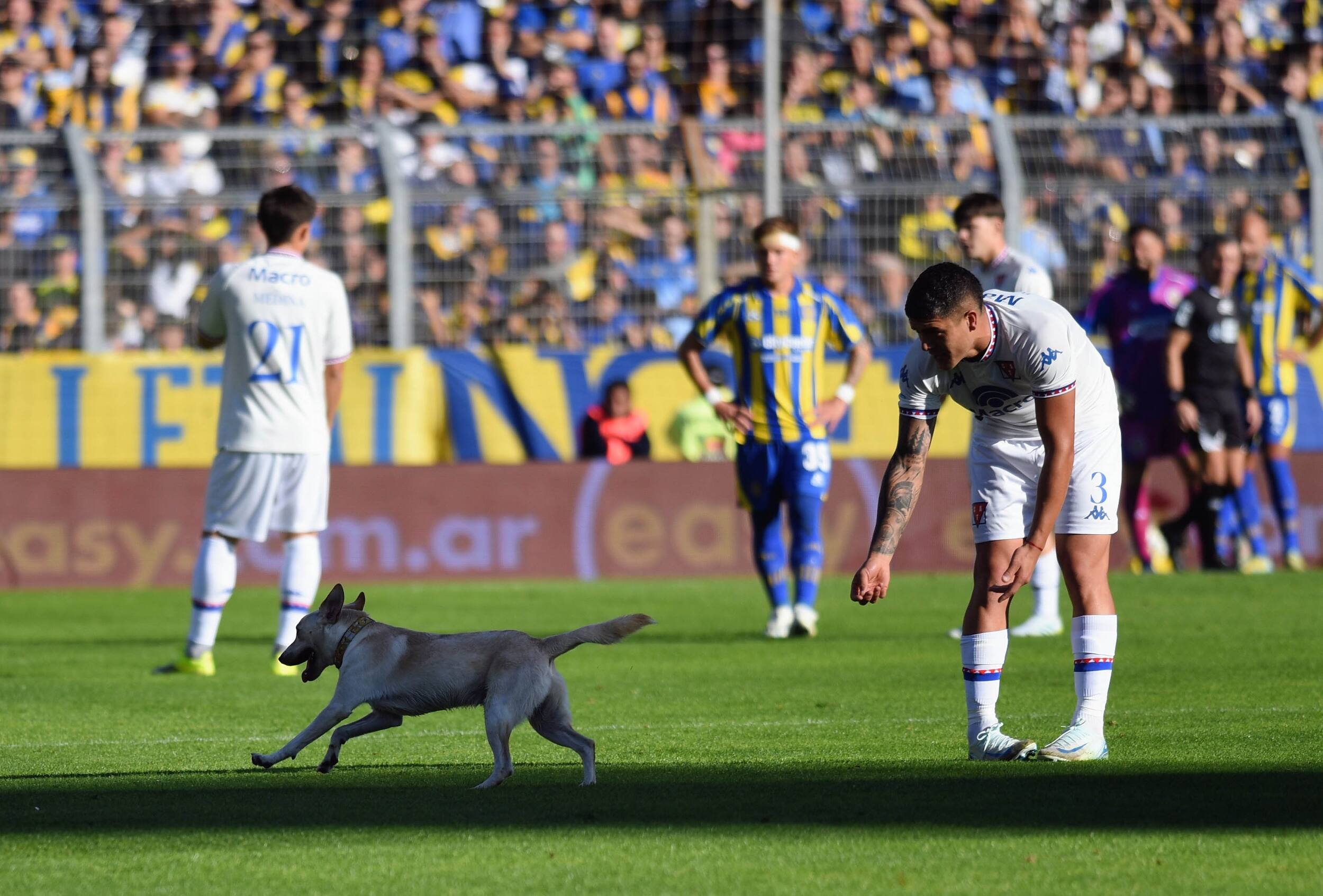 Rosario Central y Tigre empatan 1-1 en un final de infarto que deja al Matador fuera del Apertura — image 6