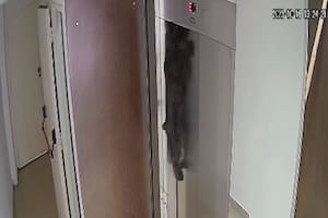 El perro quedó colgando y fue rescatado por un vecino que escuchó la alarma del ascensor