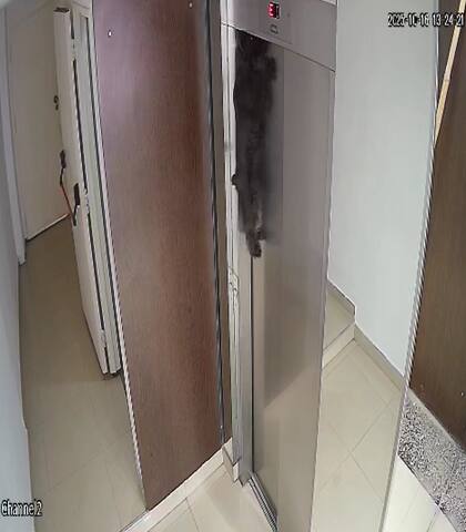 El perro quedó colgando y fue rescatado por un vecino que escuchó la alarma del ascensor