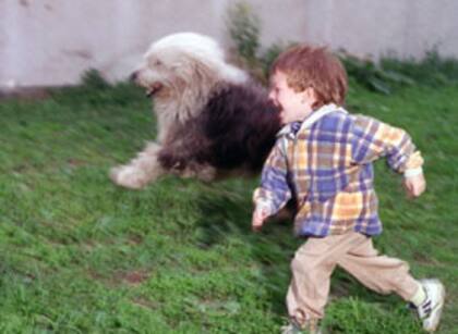 El perro resulta una de las mejores compañías del niño