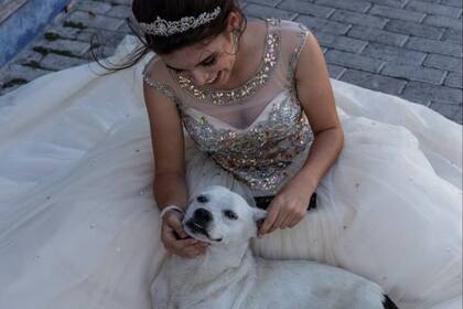 El perro se comportó con tranquilidad y posó sin problemas para las fotos