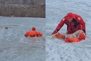 El video del dramático operativo para salvar a un perro en un lago congelado