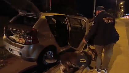 El perro Zidane detectó droga