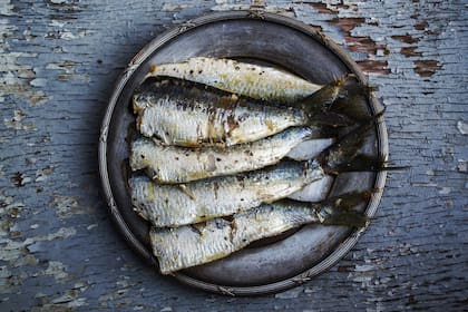El pescado contiene grasas saludables, minerales y proteína (Foto de carácter ilustrativo: PIXABAY)