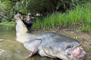 El pescador compartió su hallazgo en sus redes sociales (Foto: @jakubvagner_official)